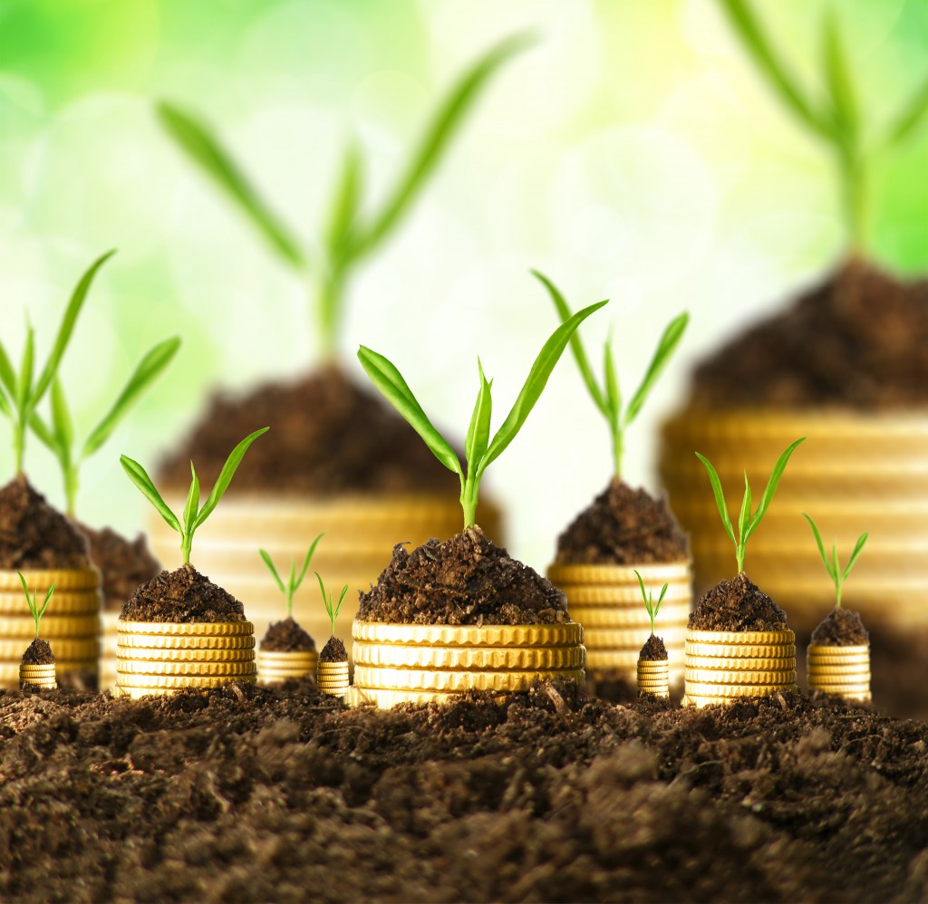 Omega can help you grow your investments in the long term.
